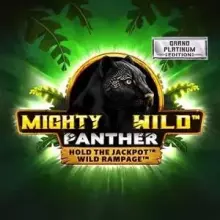 Mighty Wild Panther